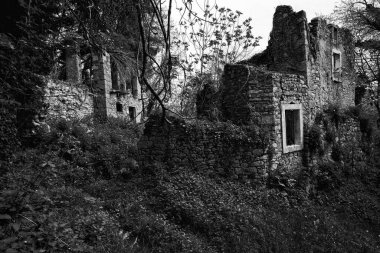 Keşif Pinzano halkası 822 'yi takip ediyor.