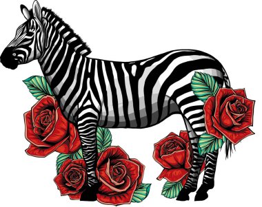 Retro kartpostal bir vintage fotoğraf makinesi taklit tutan zebra moda hipster arka plan el ile çizilmiş