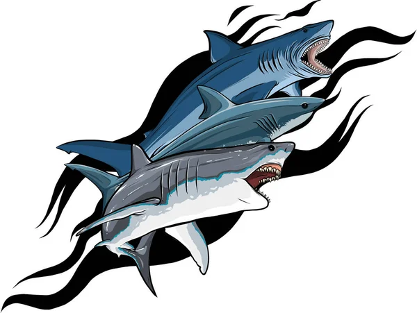 Tiburones Colección Vector Ilustración Diseño — Vector de stock