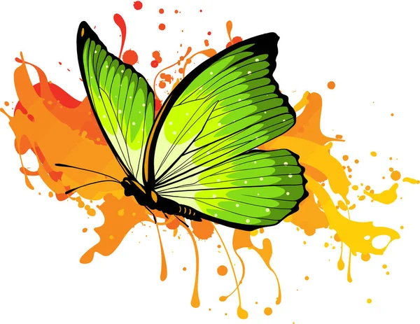 Schmetterling Auf Farbigem Hintergrund Vektorillustration — Stockvektor