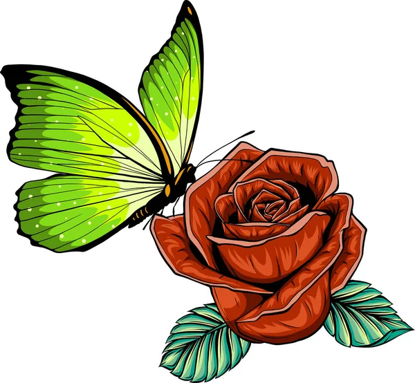 Farfalla Rosa Vettoriale Illustrazione — Vettoriale Stock
