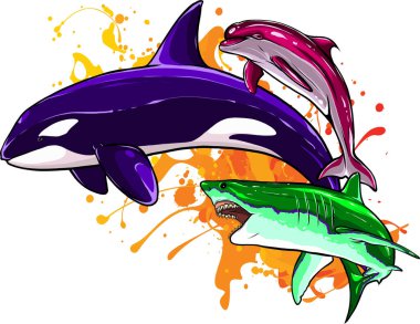 Set of Marine mammals vector illustration. digital hand draw clipart