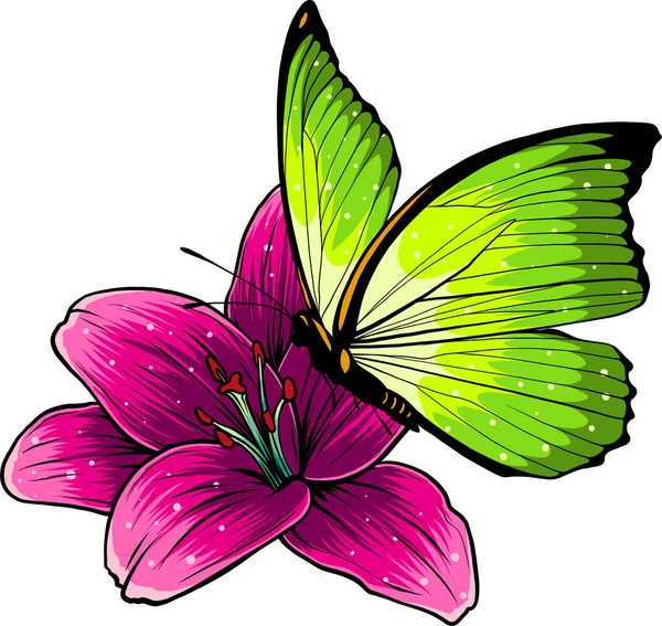 Morpho Schmetterling Auf Weißem Hintergrund Vektorillustration Dekorativer Druck — Stockvektor