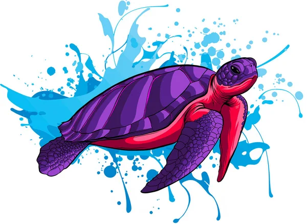 Meeresschildkröte Farbige Zeichnung Einer Meeresschildkröte Auf Weißem Hintergrund — Stockvektor