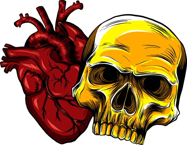 Human Skull Heart Vector Illustration — Stock Vector