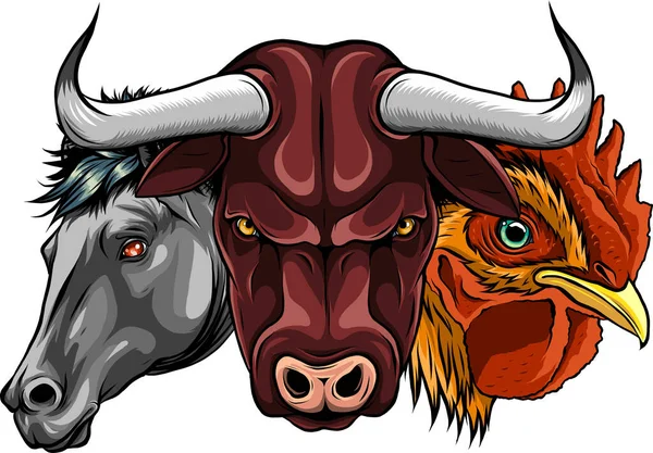 Set Popular Colorful Farm Animals — Stock Vector