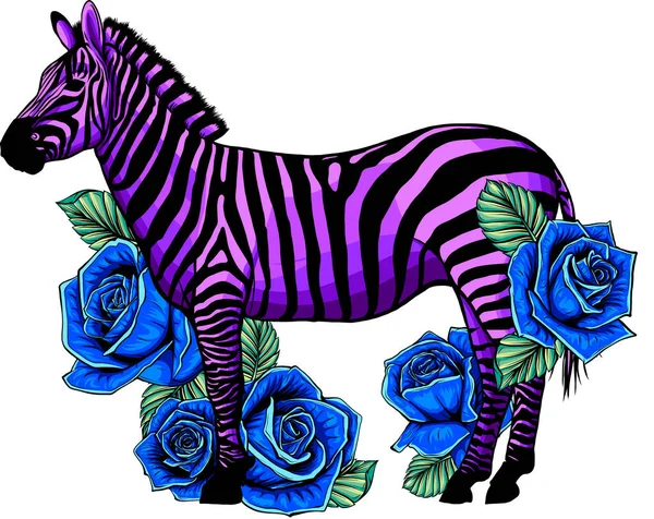 Vetor Zebra Colorida Isolado Sobre Fundo Branco — Vetor de Stock