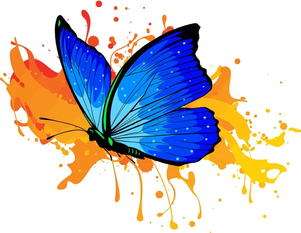 Farfalla Morpho Sfondo Colorato Illustrazione Vettoriale Stampa Decorativa — Vettoriale Stock