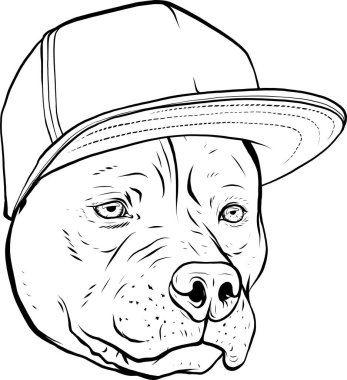 Pitbull kafası siyah beyaz renkte. Vektör illüstrasyonu