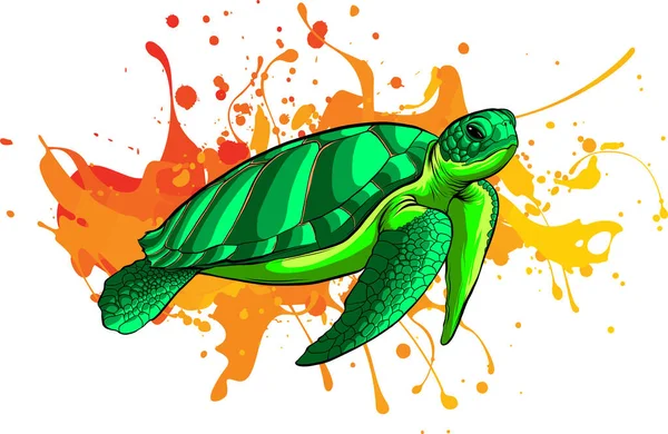 Zeeschildpad Realistische Gekleurde Tekening Van Een Zeeschildpad Een Witte Achtergrond — Stockvector