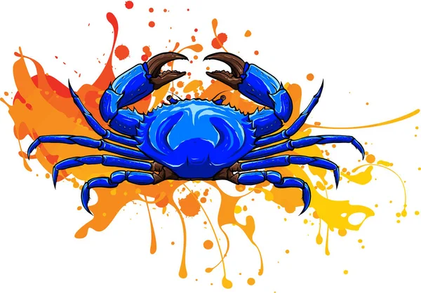 Illustration Vectorielle Crabe Isolée Sur Fond Blanc — Image vectorielle