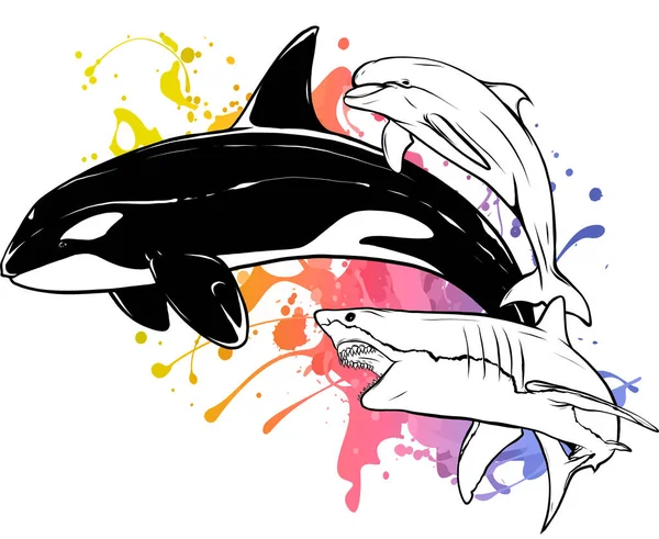 Dibujo Monocromo Una Orca Ballena Saltadora Blanco Negro — Vector de stock