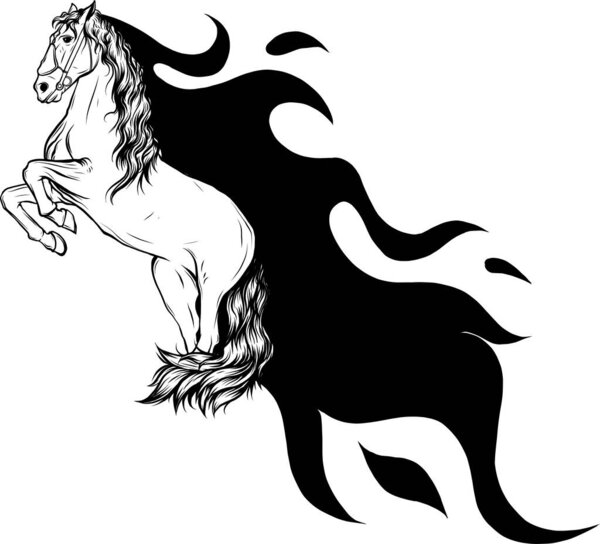 illustration of monochrome horse with flames on white background