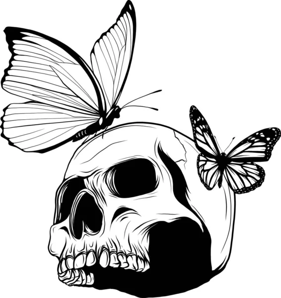 Totenkopf Mit Schmetterling Monochrom Illustration Isoliert Auf Weißem Hintergrund — Stockvektor