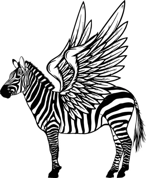 Carina Zebra Con Ali Animale Isolato Schizzo Graffio Bordo Imitazione — Vettoriale Stock
