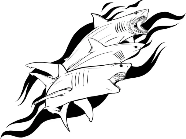 Sada Monochromatický Žralok Vektor Siluety Mořské Ryby Zvířecí Plavání Ilustrace — Stockový vektor
