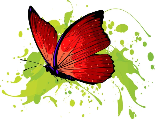Schöner Schmetterling Isoliert Auf Weißem Hintergrund — Stockvektor