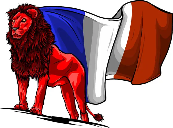 Lyon Francouzskou Vlajkovou Ilustrací — Stockový vektor