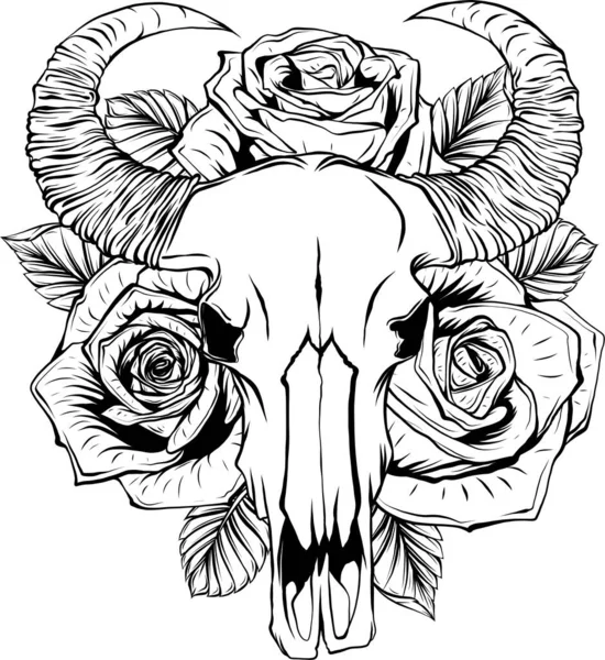 Vaca Cráneo Toro Con Rosas Ilustración Vectorial Contorno Aislada Sobre — Vector de stock