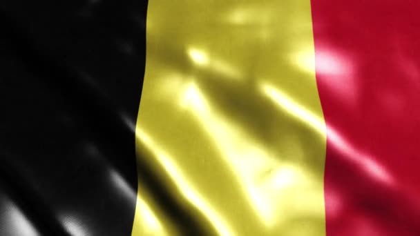 Бельгийский Флаг Размахивающий Видео Ветра Full Реалистичный Бельгийский Флаг Фон — стоковое видео