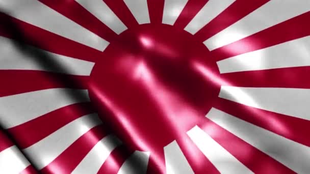 Esercito Giapponese Sventola Bandiera Nazionale Imperiale Bandiera Dell Esercito Giapponese — Video Stock