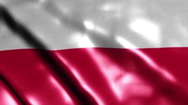 Flag of Poland. High quality 4K resolution
