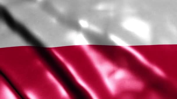 Σημαία Της Πολωνίας Υψηλής Ποιότητας Ανάλυση — Αρχείο Βίντεο