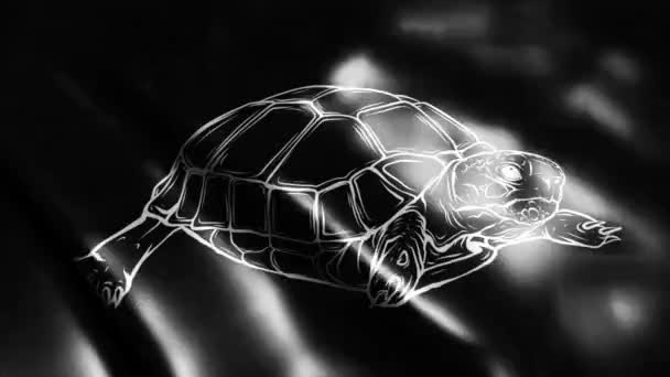 Black Flag Silhouette Turtle — Stock Video