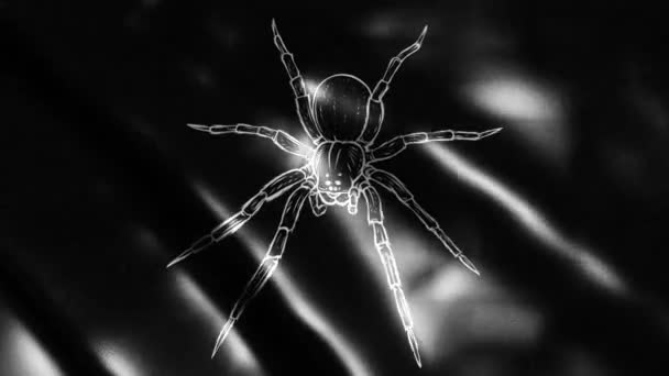 带有轮廓蜘蛛的黑旗 — 图库视频影像