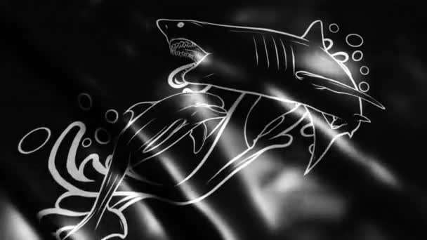 Μαύρη Σημαία Δελφινιού Σιλουέτας Και Καρχαρία — Αρχείο Βίντεο