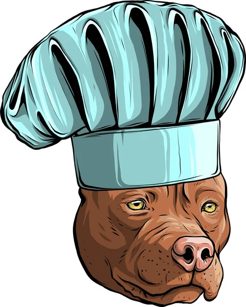 Şef Şapkalı Pitbull Terrier — Stok Vektör