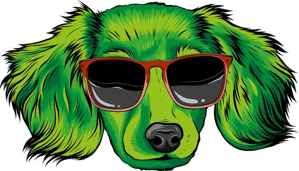 Gordon Cão Setter Raça Com Óculos Sol Pretos — Vetor de Stock