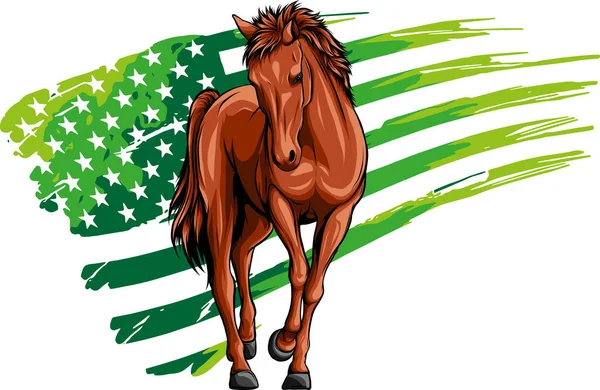 Abbildung Des Pferdes Mit Amerikanischer Flagge — Stockvektor