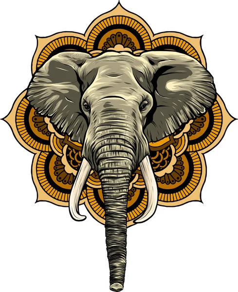 Ilustração Vetorial Elefante Africano Cabeça — Vetor de Stock