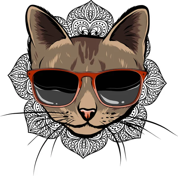 Ilustrace Kočky Slunečních Brýlích Bílém Pozadí — Stockový vektor