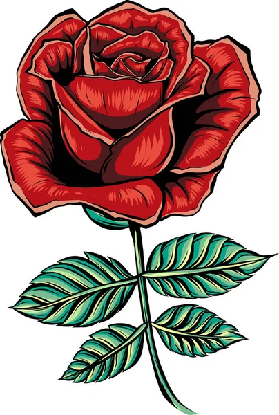 Ilustração Rosa Flor Com Folhas — Vetor de Stock