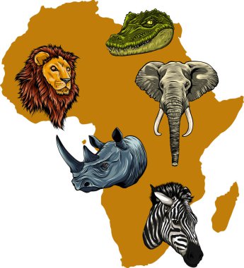 Afrika 'nın vahşi yaşamı, dünya kıtası. Flora ve Fauna.