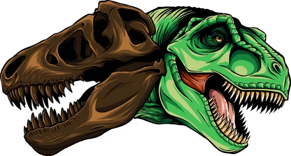 Ilustración Tyrannosaurus Rex Con Cráneo — Vector de stock