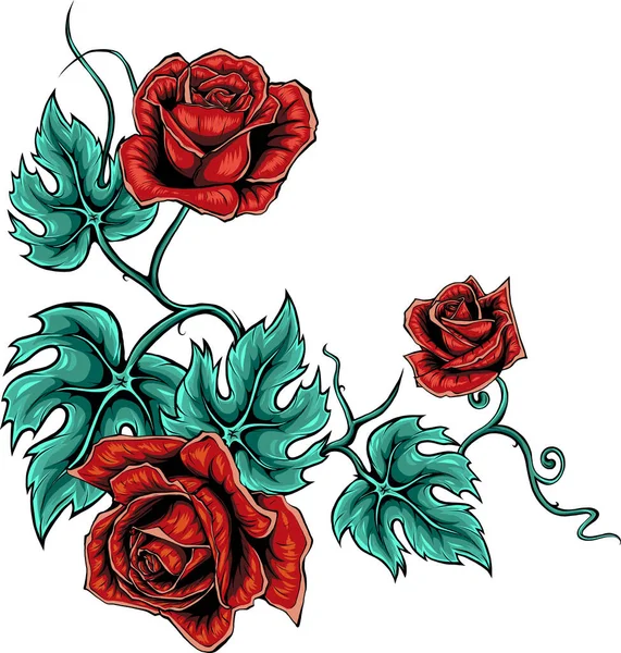 Illustration Von Schönen Rosen Isoliert Auf Weiß — Stockvektor
