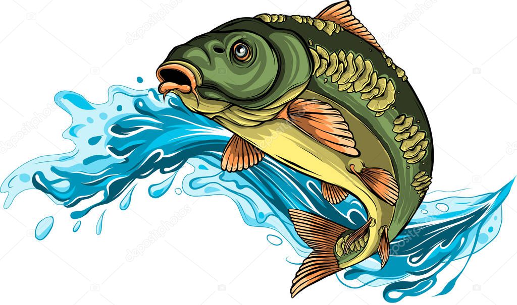Illustration of carp with splashing water