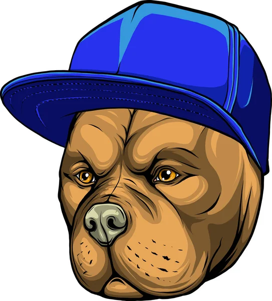 Illustration Pitbull Dog Cap — Stock Vector