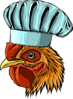 Beyaz arka planda tavuk şefi çizimi