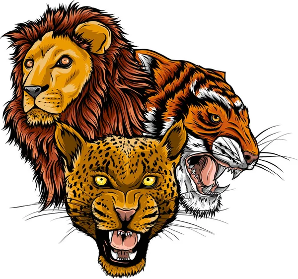 Cabezas Animales Salvajes León Tigre Jaguar Lynx Diseño Logotipo Mascota — Vector de stock