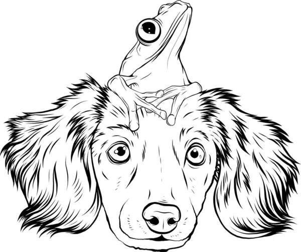 モノクロームの犬とカエルの漫画のイラスト — ストックベクタ