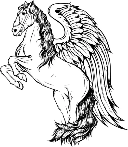 Pegasus Vektor Illusztráció Szárnyas Oldali Nézet Fekete Fehér Design — Stock Vector