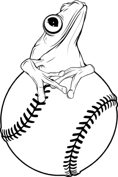 Frog Sitting Baseball Ball White Background — Stock Vector