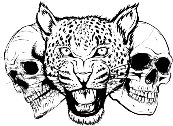 豹脸和两个人类头骨 白色背景的矢量说明 — 图库矢量图片