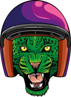 Vektör illüstrasyonunda leopar başı