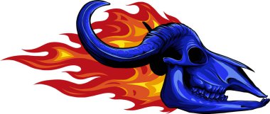 Boynuz vektörlü boğa kafatası