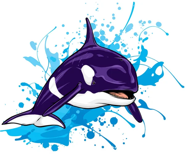 Ilustración Del Vector Killer Whale Orca — Vector de stock